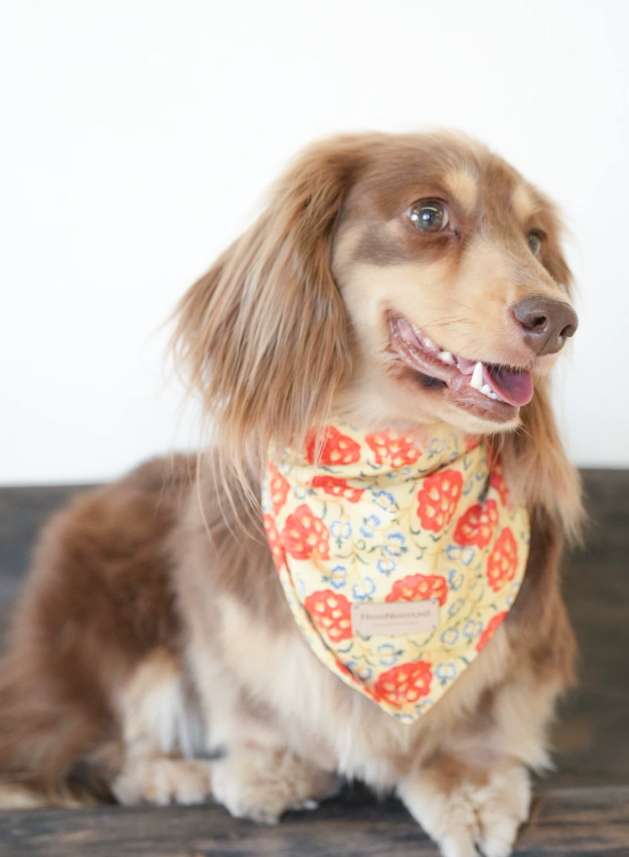 VintagePaw Plaid Triangle Scarf