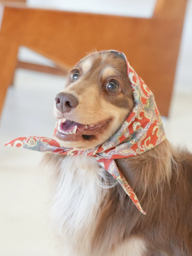 VintagePaw Plaid Triangle Scarf