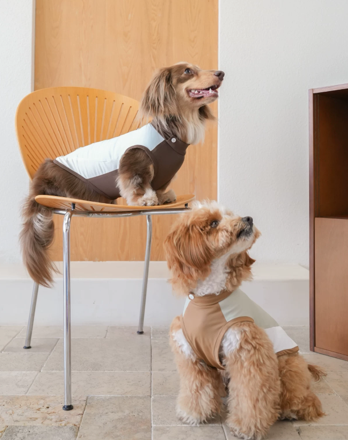 Pawsync BreezeDry Sport Vest