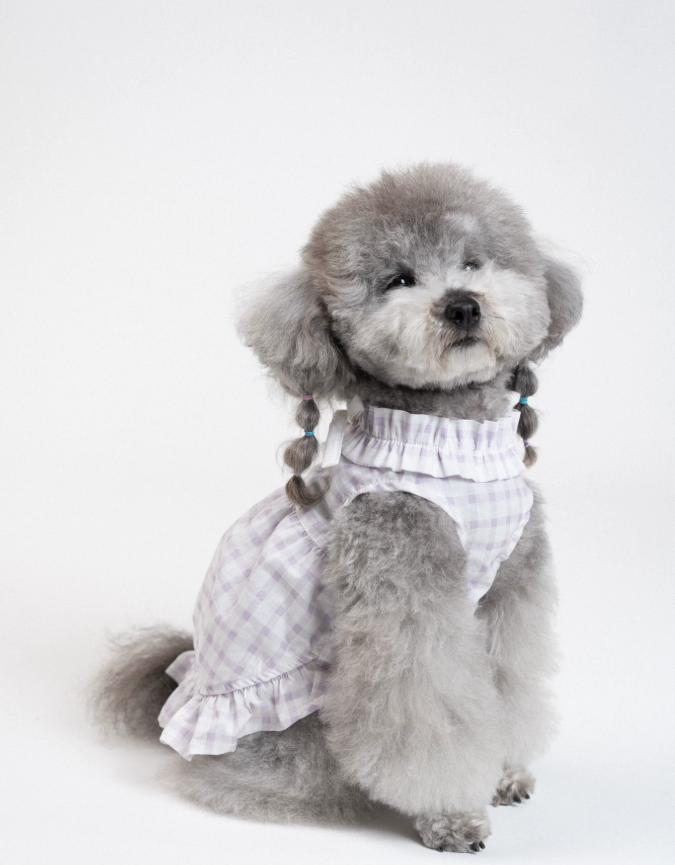 MistyPaw Garden Plaid Sundress