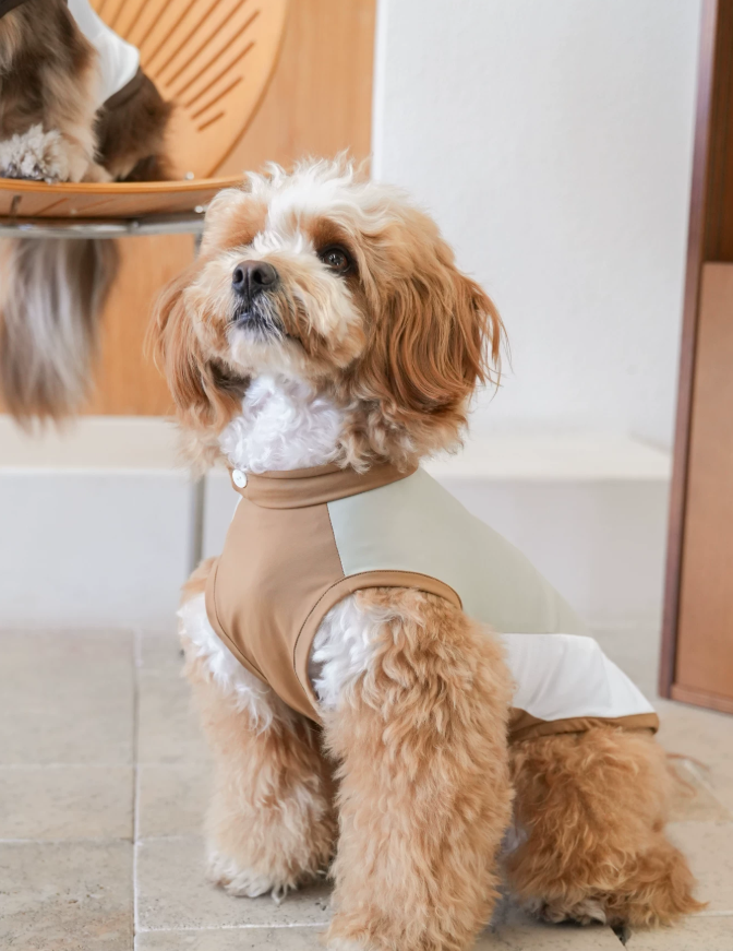 Pawsync BreezeDry Sport Vest