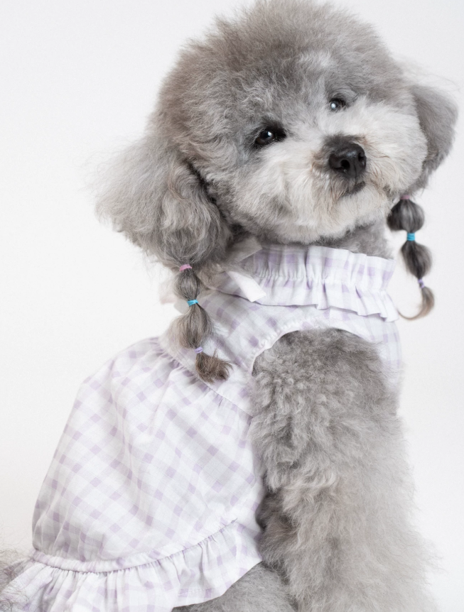MistyPaw Garden Plaid Sundress
