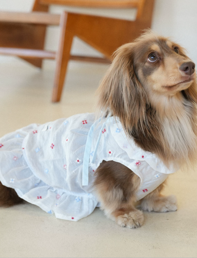 BloomTail Floral Mesh Pet Dress