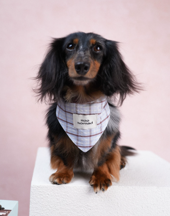 RusticTail Everyday Pet Bandana
