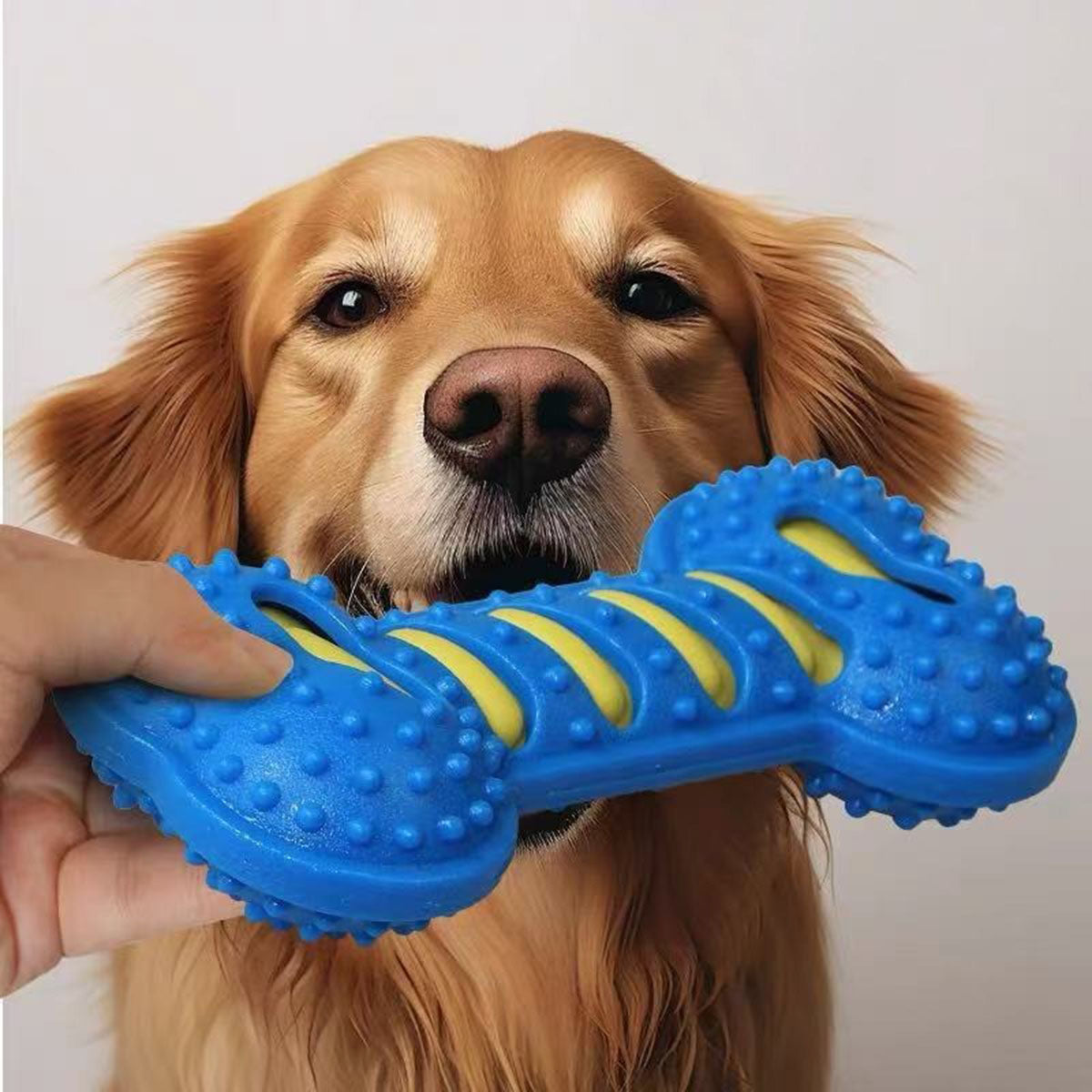 BLUE.jpg