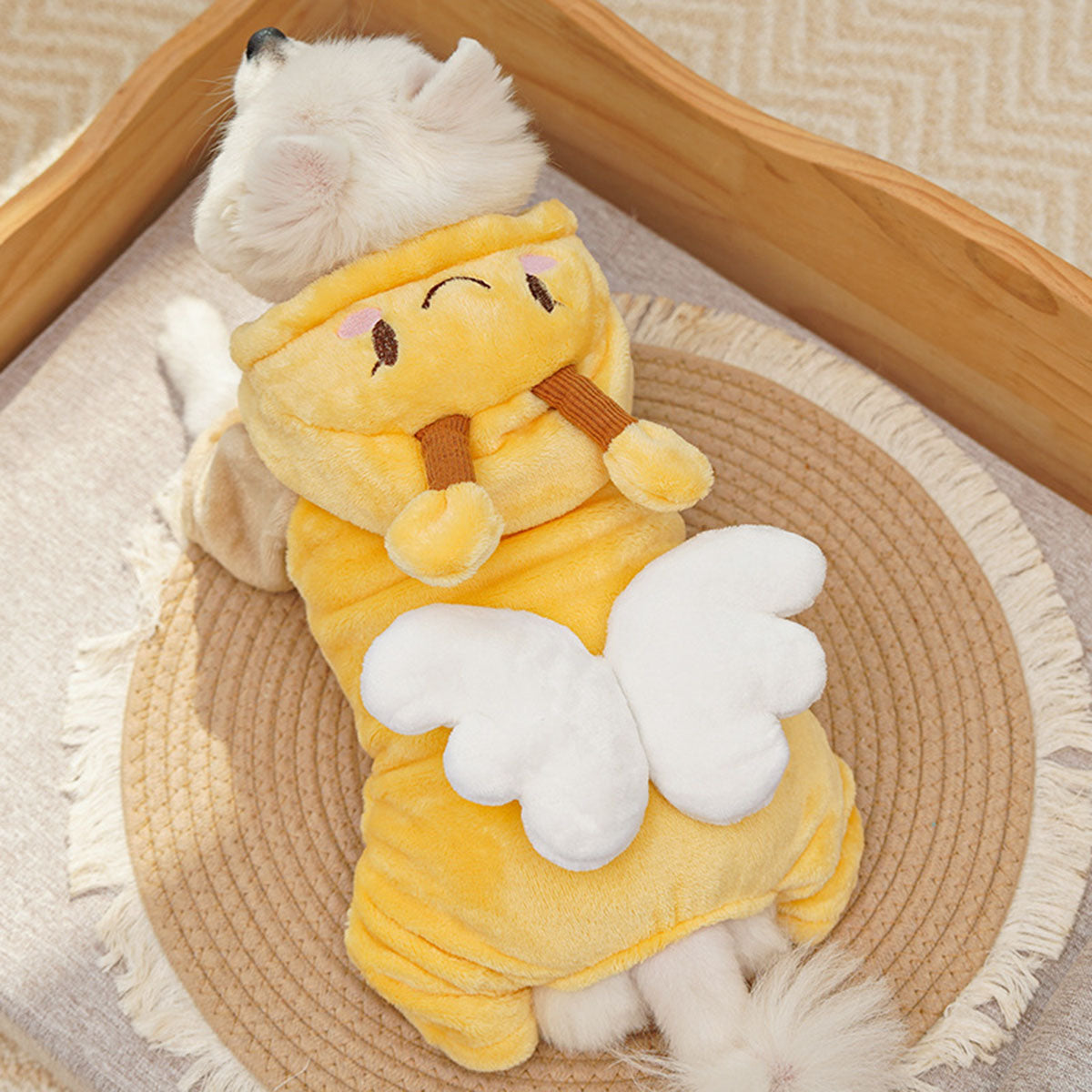 YELLOW (8).jpg