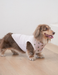 SoftPaw Comfort Bib Bandana