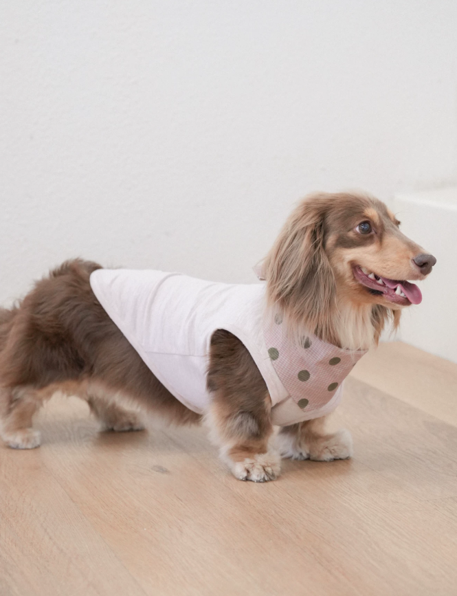 SoftPaw Comfort Bib Bandana