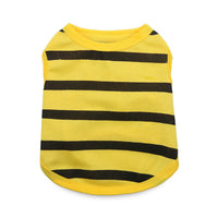 YELLOW.jpg
