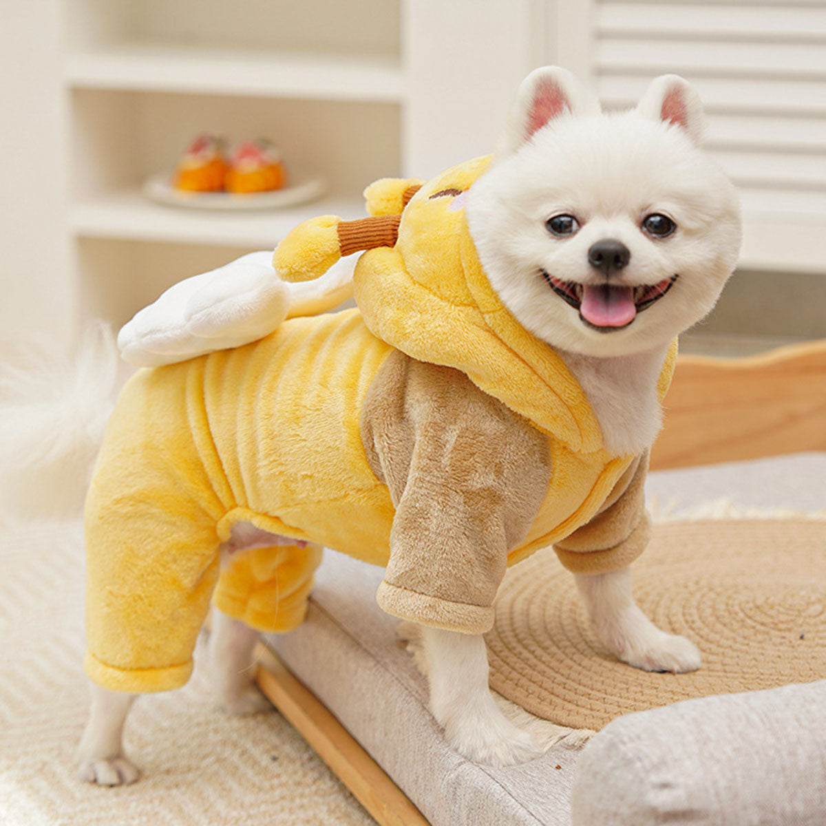 YELLOW (4).jpg