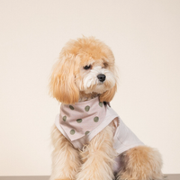 SoftPaw Comfort Bib Bandana