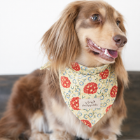 VintagePaw Plaid Triangle Scarf