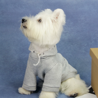 RetroPaw Graphic Hoodie Pullover