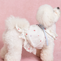 BloomTail Floral Mesh Pet Dress
