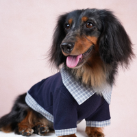UrbanPaw Polo Street Warm Tee