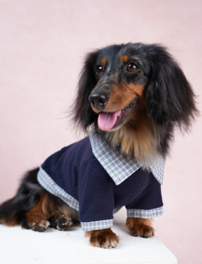 UrbanPaw Polo Street Warm Tee
