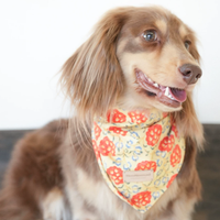 VintagePaw Plaid Triangle Scarf