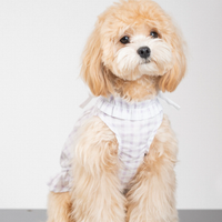 MistyPaw Garden Plaid Sundress