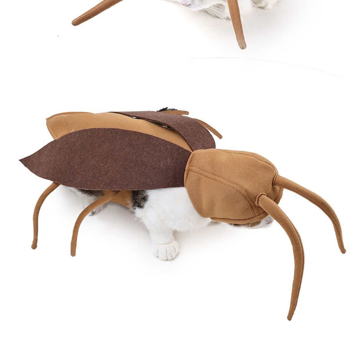 BROWN (3).jpg