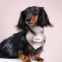 RusticTail Everyday Pet Bandana