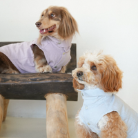 OldMoneyPaw LinenAir Shirt Vest