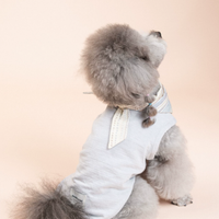 SoftPaw Comfort Bib Bandana