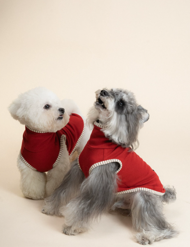 SnowyPaw CozyTherm Winter Knit Top