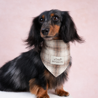 RusticTail Everyday Pet Bandana