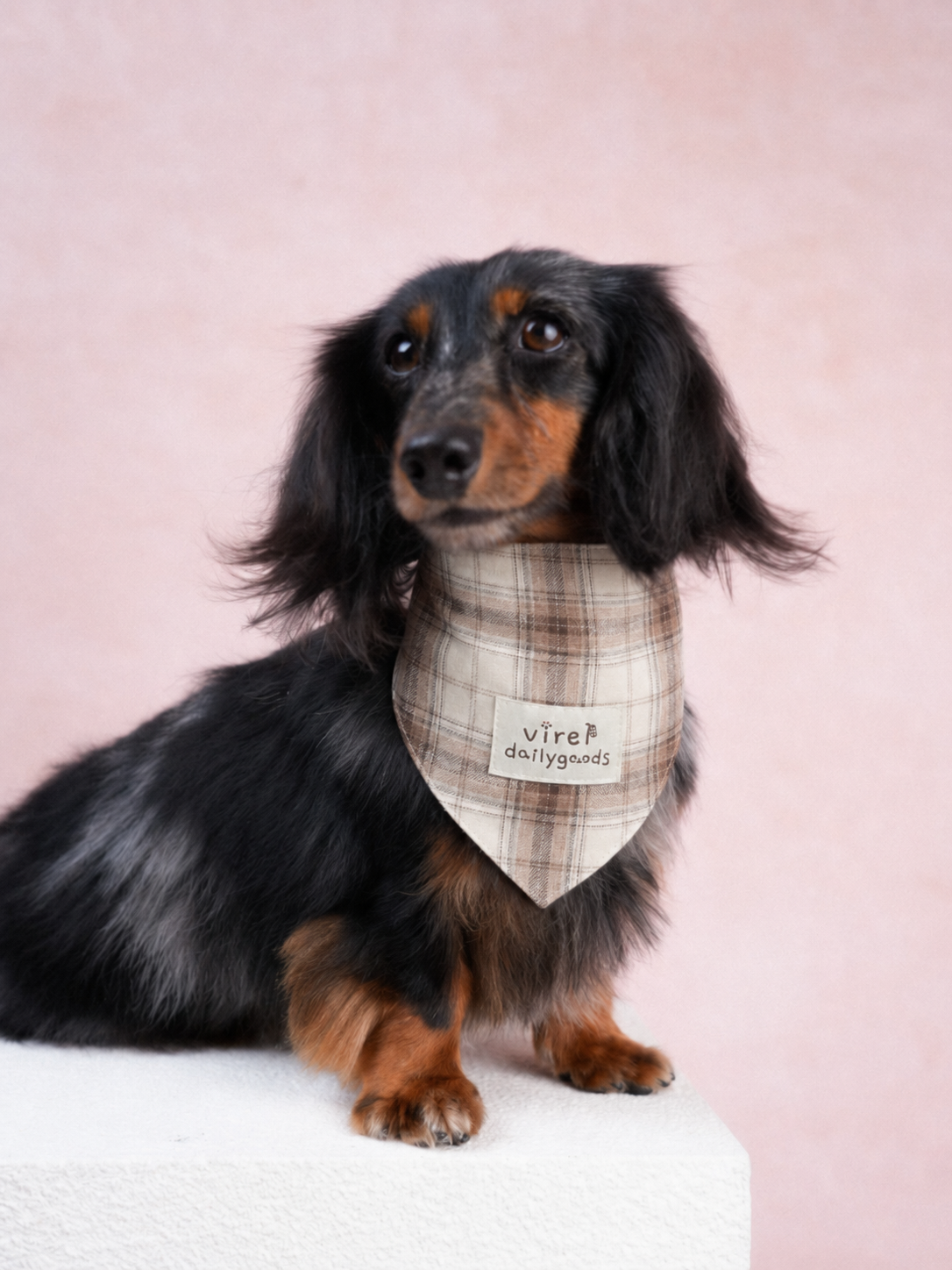 RusticTail Everyday Pet Bandana