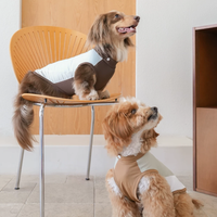 Pawsync BreezeDry Sport Vest