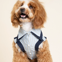 PatchPaw Check Mix Layer Shirt