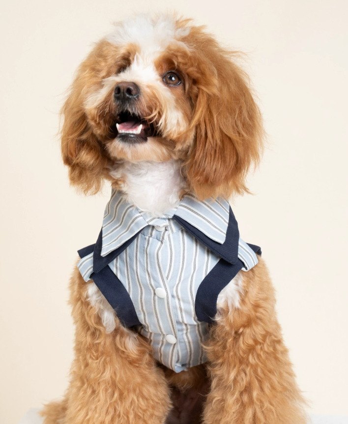 PatchPaw Check Mix Layer Shirt