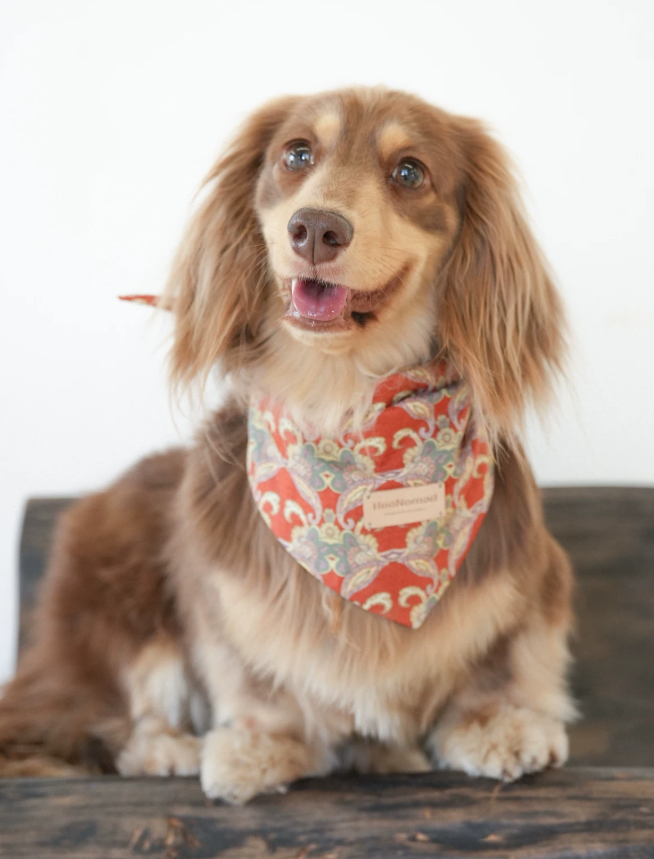 VintagePaw Plaid Triangle Scarf
