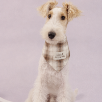 RusticTail Everyday Pet Bandana