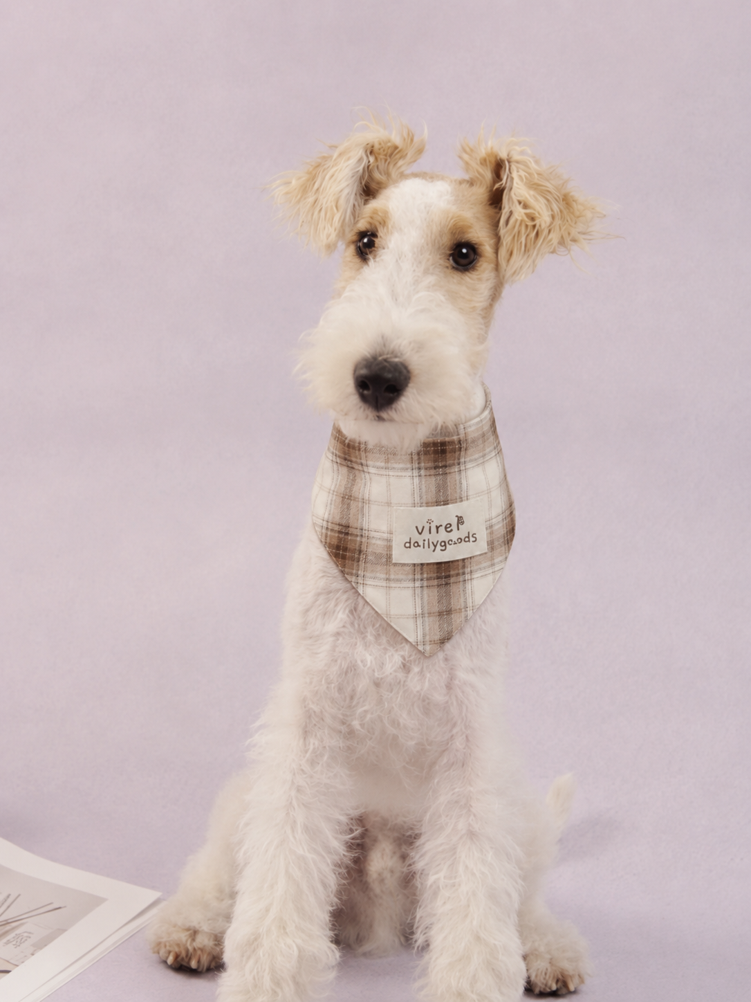 RusticTail Everyday Pet Bandana