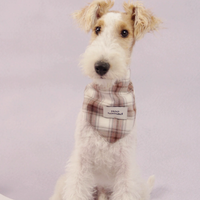 RusticTail Everyday Pet Bandana