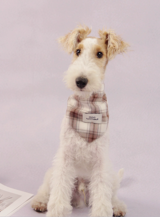 RusticTail Everyday Pet Bandana