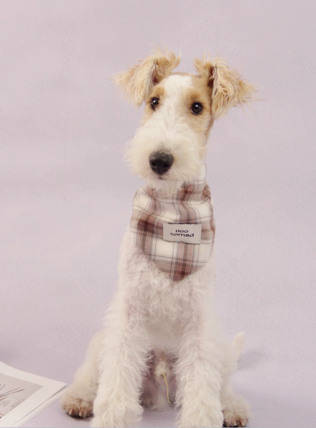 RusticTail Everyday Pet Bandana