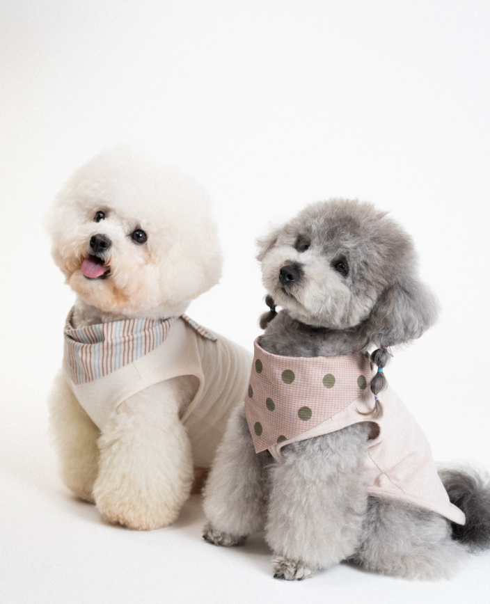 SoftPaw Comfort Bib Bandana