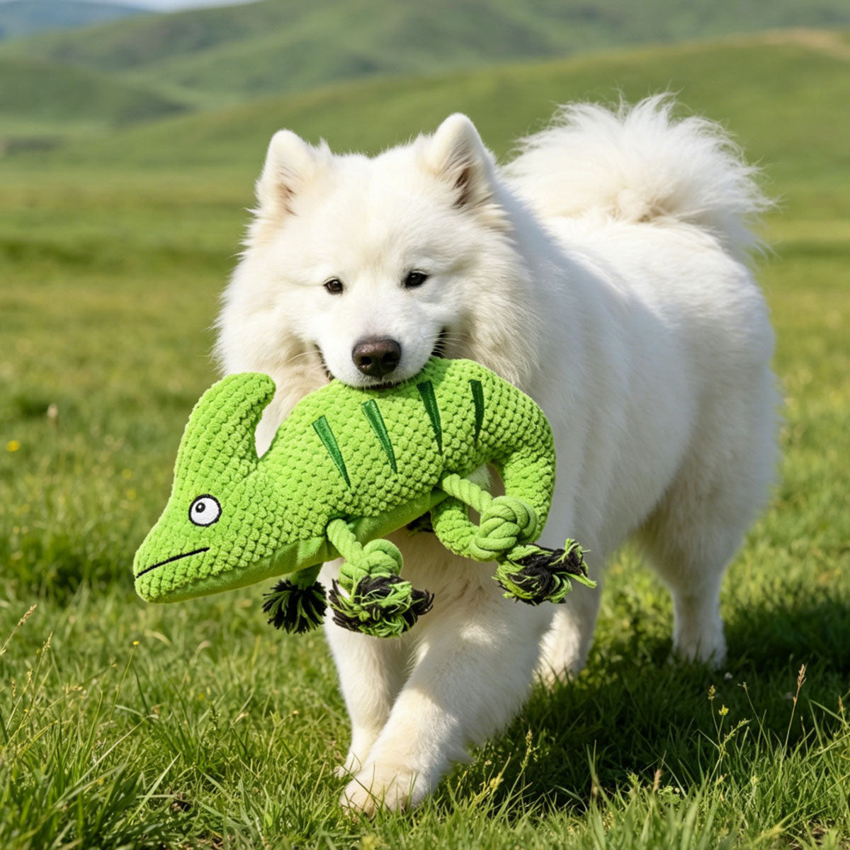 GREEN (1).jpg