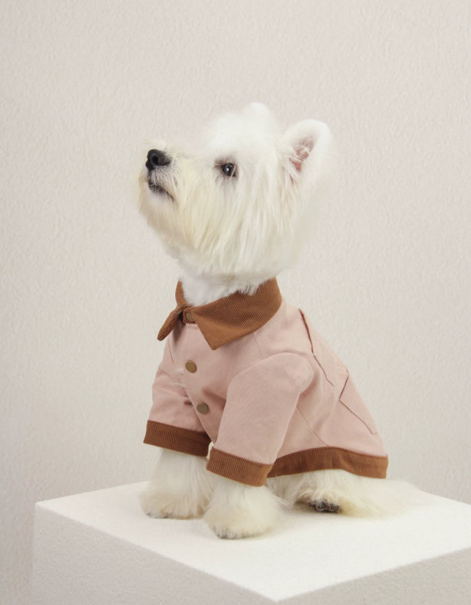ArcticTail Utility Windbreaker Jacket