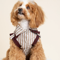 PatchPaw Check Mix Layer Shirt