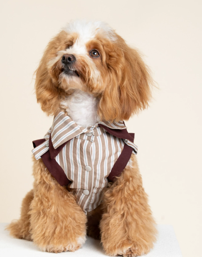 PatchPaw Check Mix Layer Shirt