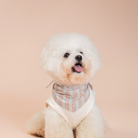 SoftPaw Comfort Bib Bandana