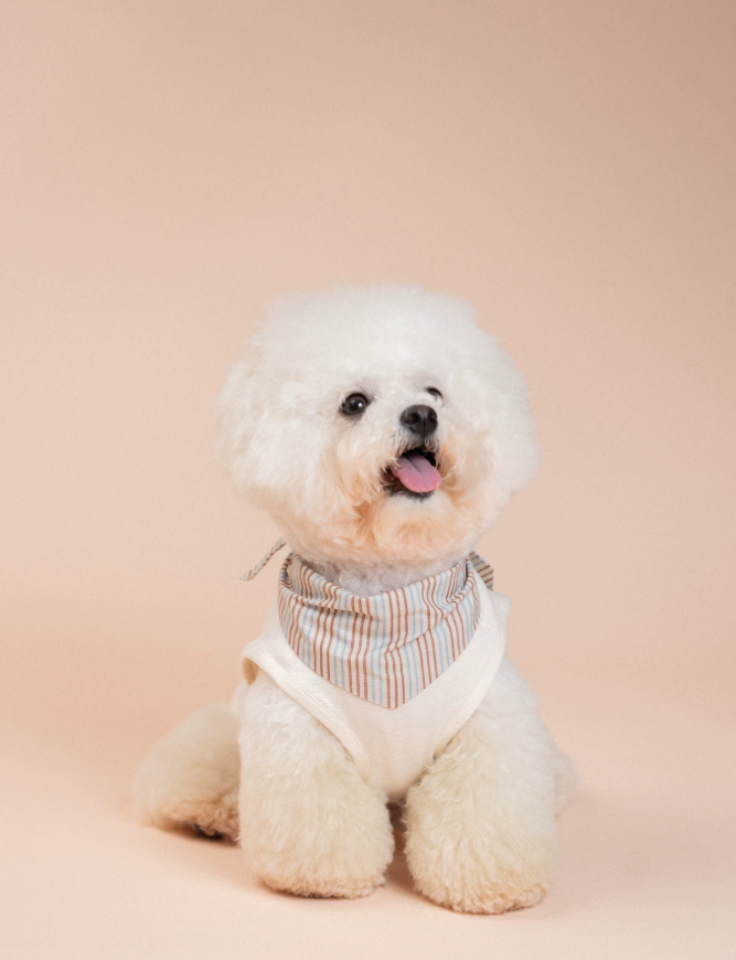 SoftPaw Comfort Bib Bandana