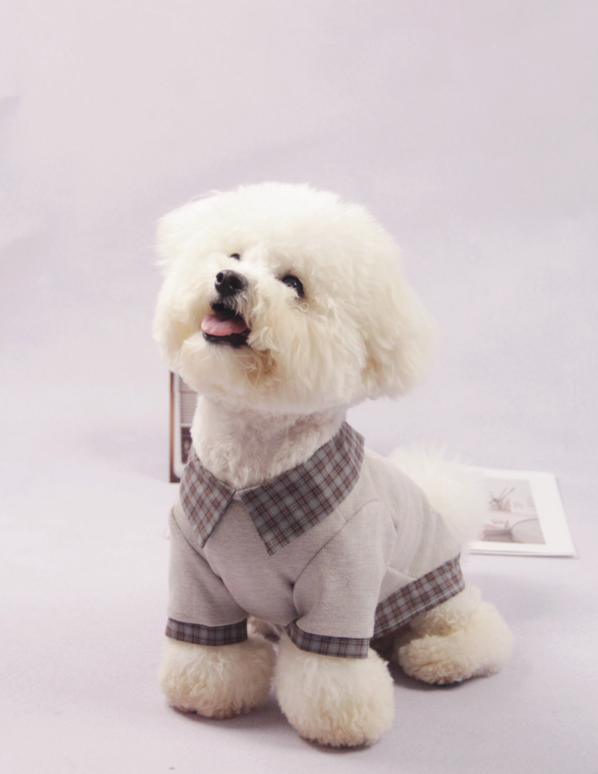 UrbanPaw Polo Street Warm Tee