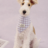 RusticTail Everyday Pet Bandana