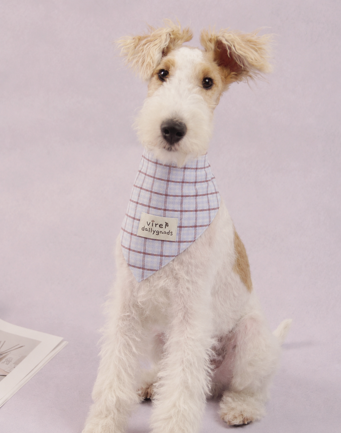 RusticTail Everyday Pet Bandana