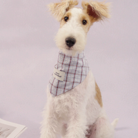 RusticTail Everyday Pet Bandana