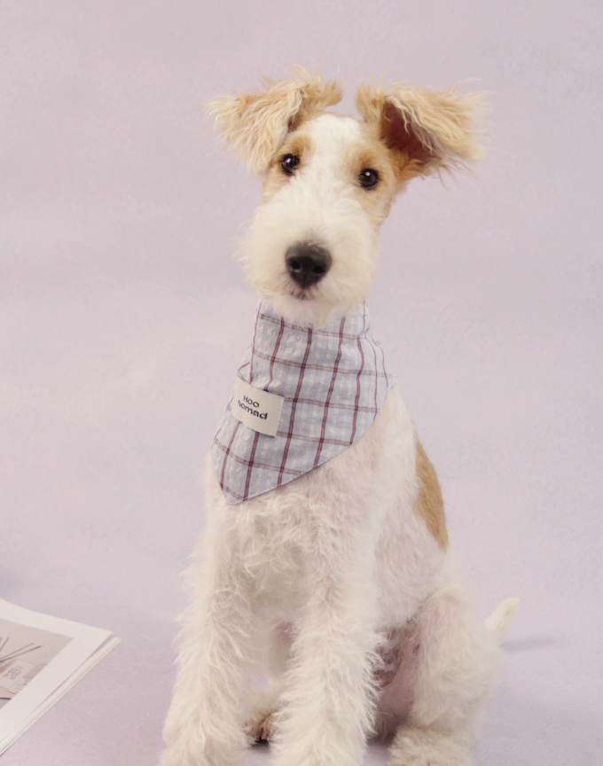 RusticTail Everyday Pet Bandana